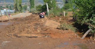 Sel Sonrası Seralara Giren Üreticileri Gördükleri Manzara Üzdü