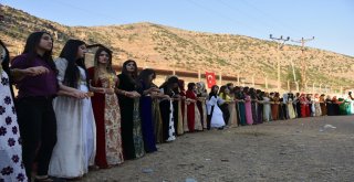 Aşiretler Tlye Sahip Çıktı