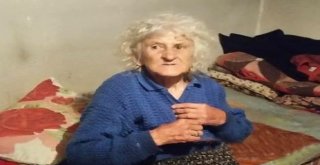 Mantar Toplarken Kaybolan Yaşlı Kadın Bulundu