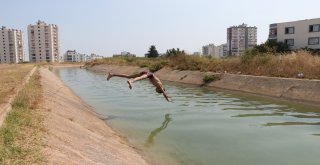 Tehlikeyi Bile Bile Atlıyorlar