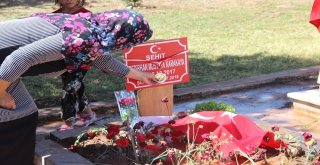 Şehit Bebeğin Ve Annenin Mezarında Hüzünlü Arefe