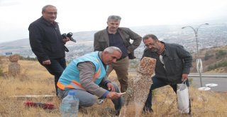 Mezar Taşları, Harputun Bin Yıllık İslam Yurdu Olduğunu İspatlıyor