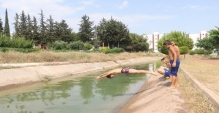 Tehlikeyi Bile Bile Atlıyorlar