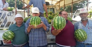Ödemiş Karpuzunun Fiyatları Düşük, Üreticinin Morali Bozuk