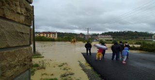Kandıra Sele Teslim Oldu