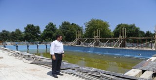 Osmangazide 4 Mevsim Yüzme Keyfi