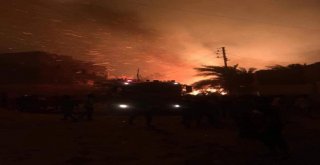 Mısır Vadi Cedidde 104 Dönüm Hurma Bahçesi Yandı