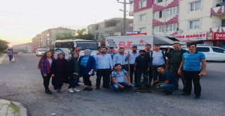 Çukurlu Yollara Ayçiçeği Ektiler