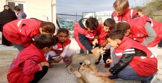 Hayvan Barınağı Konuklarını Ağırladı