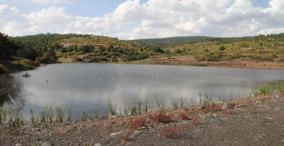 Kuraklığa Karşı Gölet Ve Havuz Projeleri