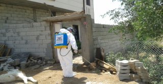 Mardinde Akrep Ve Haşere İle Mücadele Timi Kuruldu