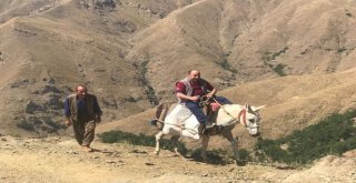 Terörün Yerini Huzura Bırakması İle Dağlar Ve Yaylalar Şenlendi