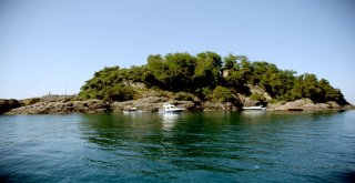 Herkülün İzinden Geldiler