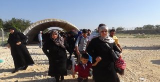 Suriyelilerin Ülkelerine Gidişleri Tamamlandı