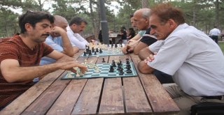 Elazığda Sokakta Santranç Var Etkinliği