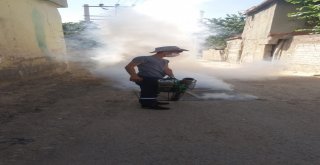 Cizre Belediyesi İlaçlama Çalışmalarına Devam Ediyor