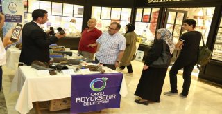 Yerin Altından Çıkanlar Fatsada Sergilendi