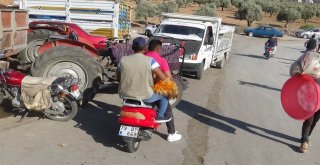 (Özel) Motosikletle Kurbanlık Sevkıyatı