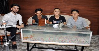 Bu Kafenin Müşterilerine 300 Canlı Balık Eşlik Ediyor