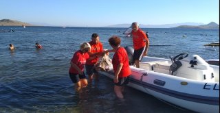 Denizden Çıkanı Gören Turistler Şok Oldu
