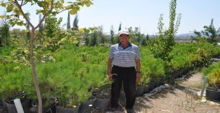Doğa Tutkunu Ali Ayseverden Örnek Davranış