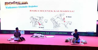 BÜYÜKŞEHİR'DEN HAYVANLARA İLK YARDIM EĞİTİMİ…