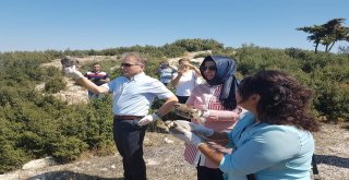 Korkuteli Ormanlarına 50 Tane Kınalı Keklik Bırakıldı