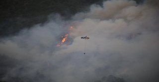 Hataydaki Orman Yangını Yerleşim Bölgesini Tehdit Ediyor