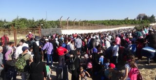 Suriyeliler Ülkelerine Gitmek İçin Depar Attı