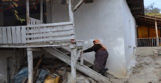 Yaşlı Kadın Altınları Çalmaya Gelen Şahsa Tüfekle Direndi