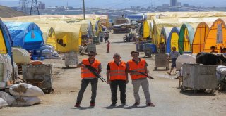 Firari Kurbanlıkların Peşine Yenimahalle Belediyesi Düşecek