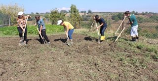 (Özel Haber) Sevgi Evlerinde Kalan Engelli Çocukların Hasat Vakti