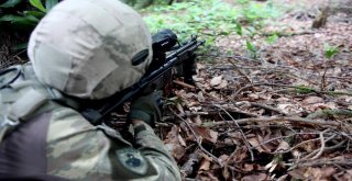 Asker Karadenizde 2 Pkklı ‘Kawa Ve ‘Arasın Peşinde