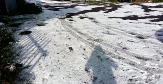 Dolu, Ardahanı Beyaza Bürüdü