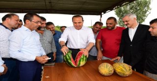 Karpuz Üreticilerinden Başkan Sözlüye Teşekkür