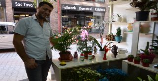 (Özel) İmkansızı Başarınca Hayatı Çiçeklerle Doldu