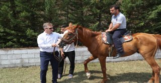 Gaziosmanpaşa Belediyesinden Engellilere Ve Ailelerine Özel Kamp