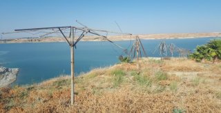 Vatandaşlar Mesire Alanındaki Bakımsızlıktan Şikayetçi