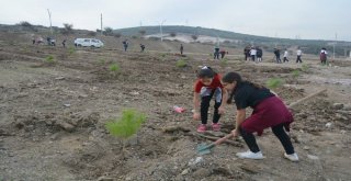 Aliağada Minikler Cumhuriyetin 95. Yılına Özel Fidan Dikti