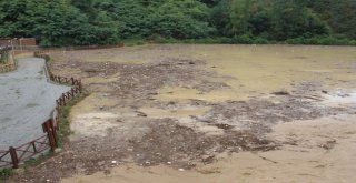 Şiddetli Yağış Sera Gölünü Çöp Ve Çamurla Kapladı