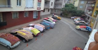 Doluya Karşı Halı, Kilim Seccade Önlemi