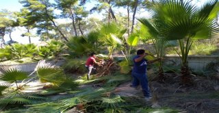 Antalya Büyükşehir Belediyesinden Mezarlıklara Kurban Bayramı Bakımı