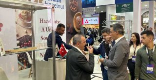 GÜNEY YARIM KÜRE TÜRK FINDIĞI İLE BULUŞTU