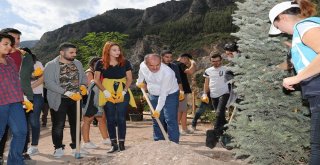 Pamukkaler Belediyesinin Vizyon Projesi Yeşilleniyor