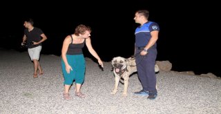 Aracın Arkasına Bağlayıp Sürüklenen Köpek Turizm Zabıtası Oldu