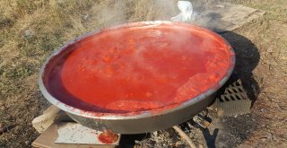 Salça Kazanları Kaynamaya Başladı