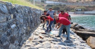 Aydında Ak Gençler Çevre Kirliliğine Dikkat Çekti