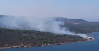 Cunda Adasında Orman Yangını