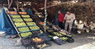 (Özel) Bitlis Ekonomisine İncir Ve Nar Desteği