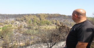 Antalyada Yangının Ardından Ürküten Manzara